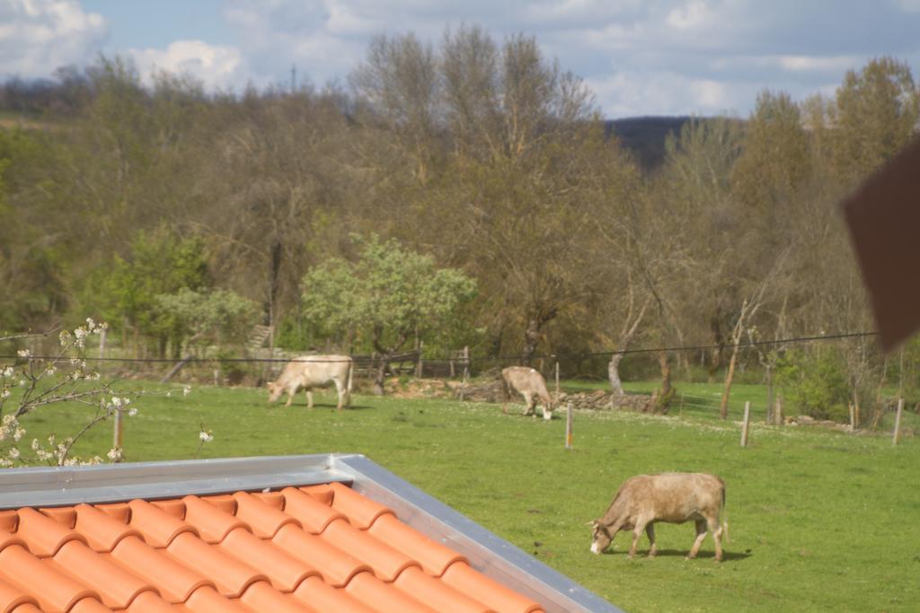 A Casa De Salsas Villa Kültér fotó